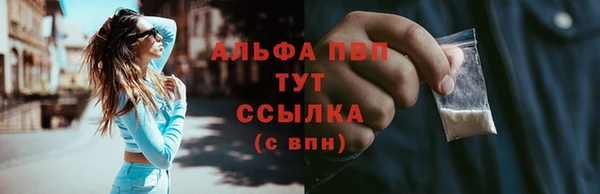 PSILOCYBIN Армянск