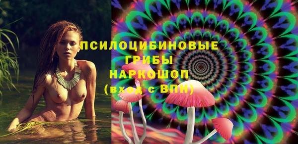 тгк Аркадак