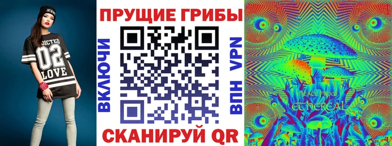 кракен ONION Пенза Псилоцибиновые грибы Cubensis